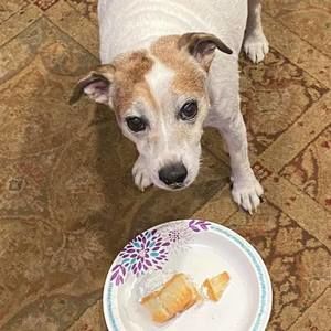 Meet your Posher, Carol